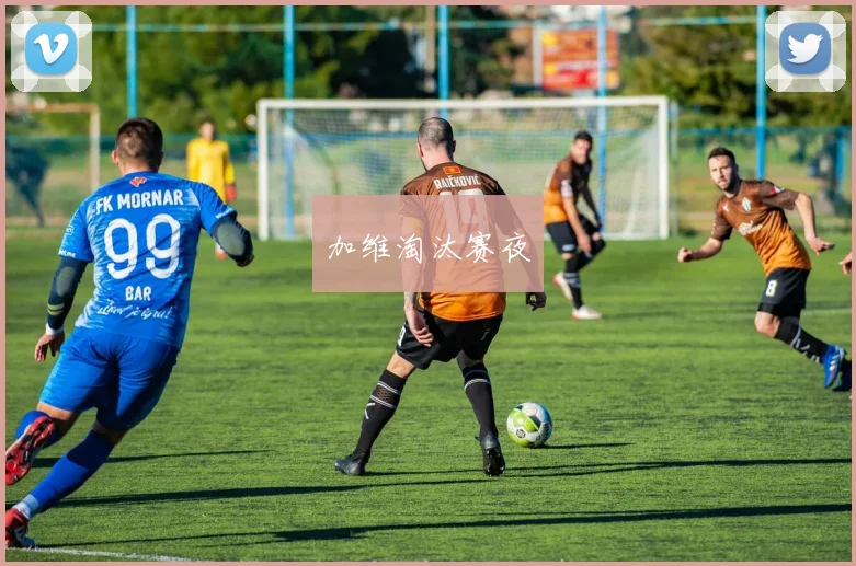 加维淘汰赛夜