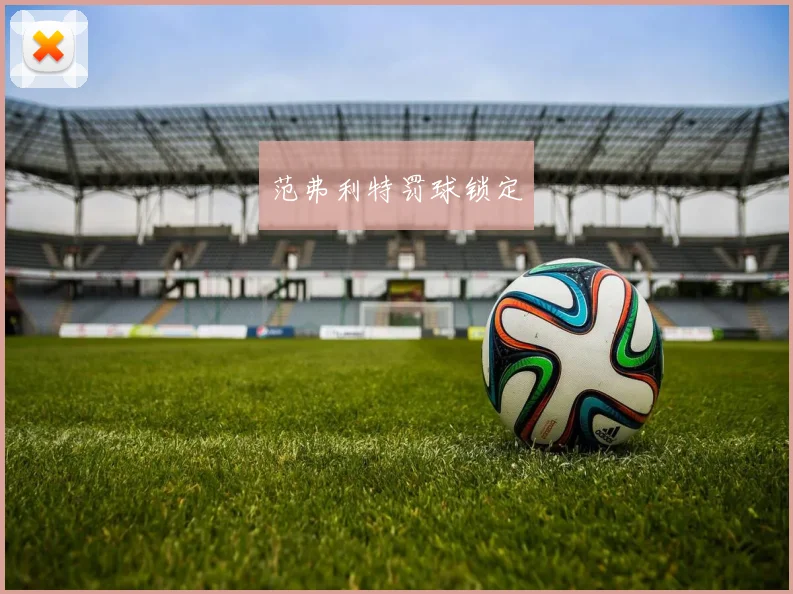 范弗利特罚球锁定