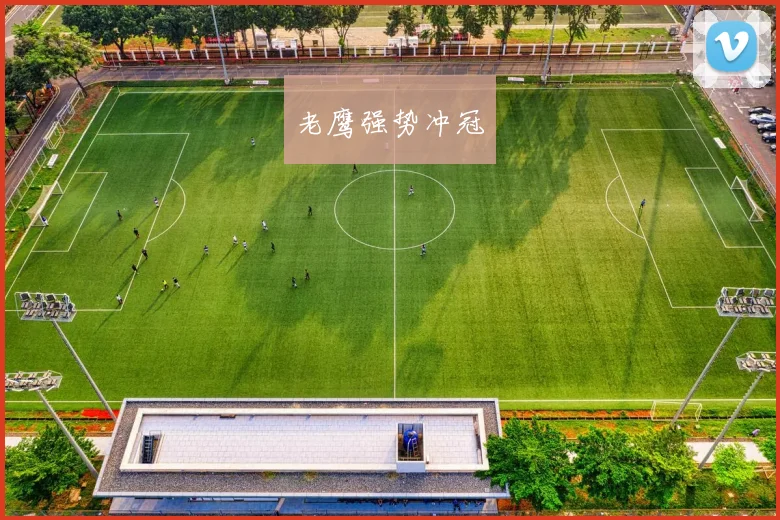 老鹰强势冲冠