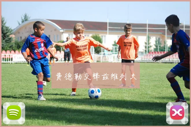 费德勒交锋兹维列夫
