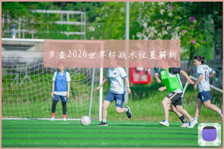 罗查2026世界杯战术位置解析