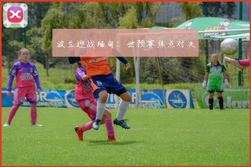 波兰迎战缅甸：世预赛焦点对决