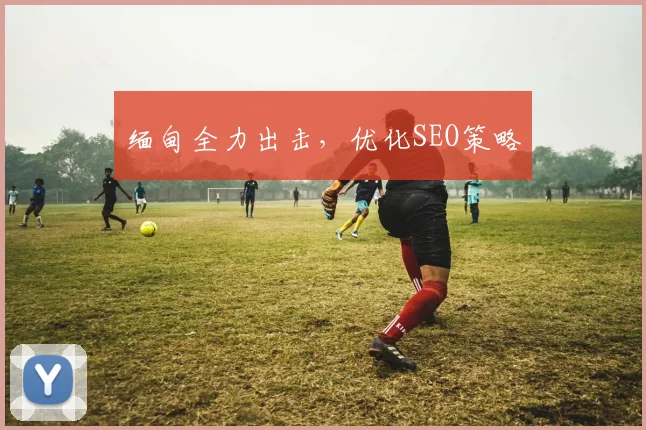缅甸全力出击，优化SEO策略