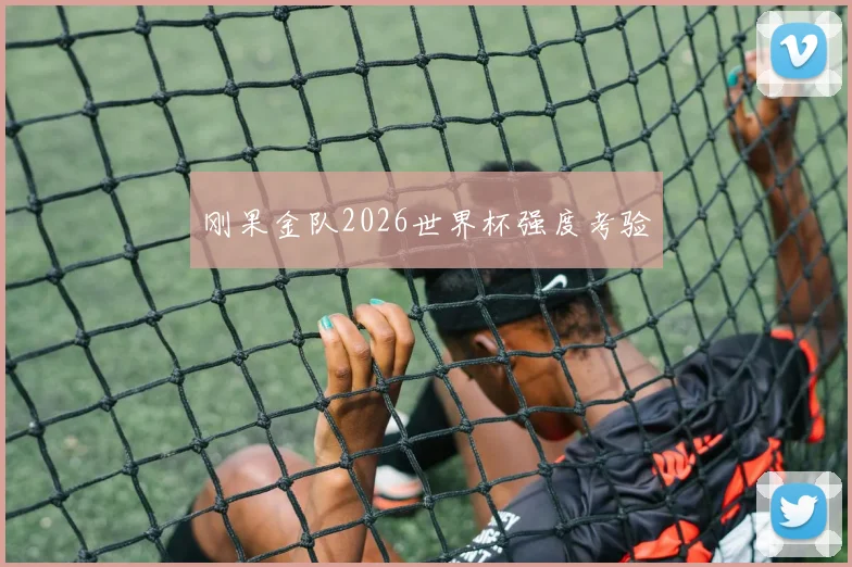刚果金队2026世界杯强度考验