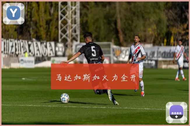 马达加斯加火力全开