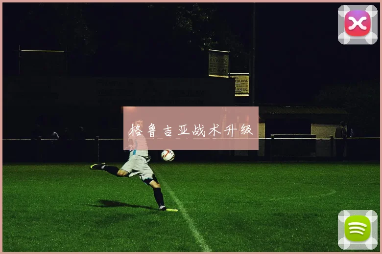 格鲁吉亚战术升级