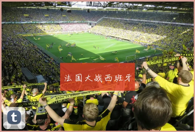 法国大战西班牙