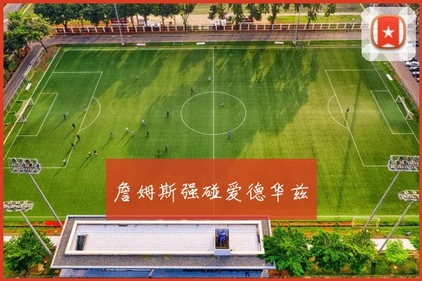詹姆斯强碰爱德华兹