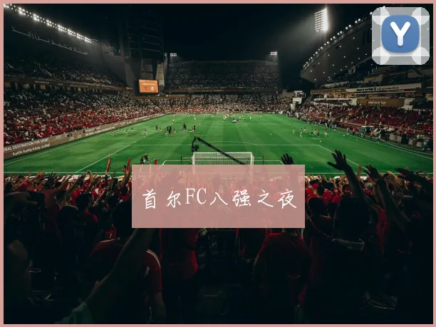 首尔FC八强之夜