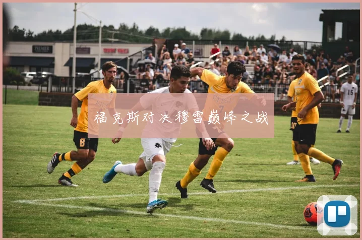 福克斯对决穆雷巅峰之战