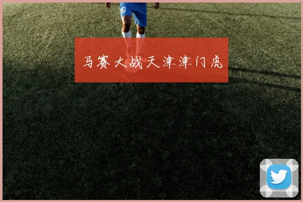 马赛大战天津津门虎