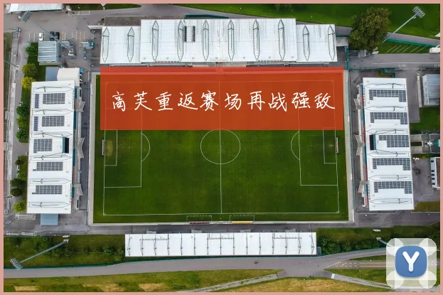 高芙重返赛场再战强敌