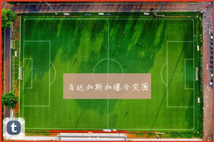 马达加斯加爆冷突围