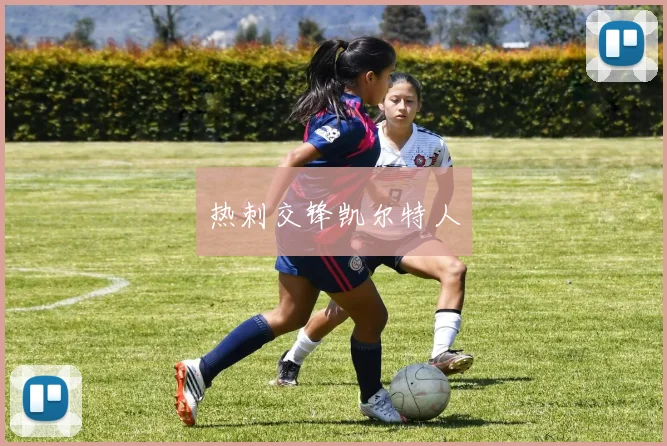 热刺交锋凯尔特人