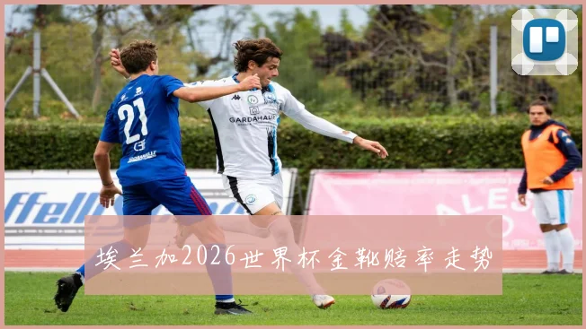 埃兰加2026世界杯金靴赔率走势