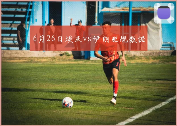 6月26日埃及vs伊朗犯规数据