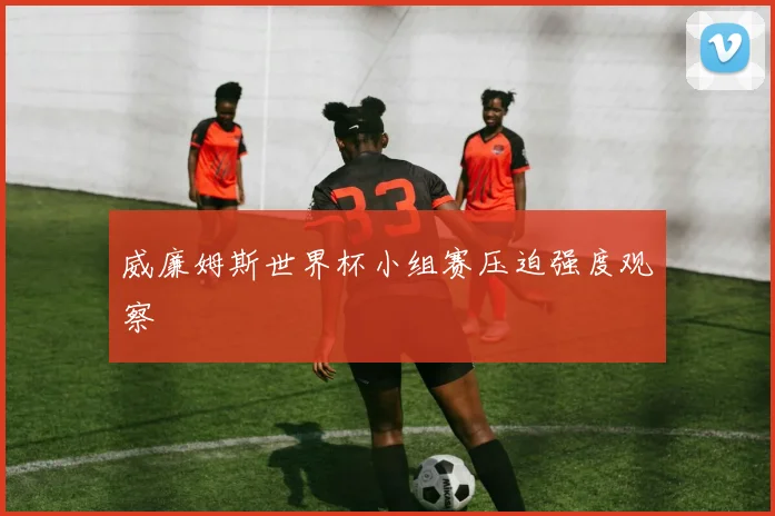 威廉姆斯世界杯小组赛压迫强度观察