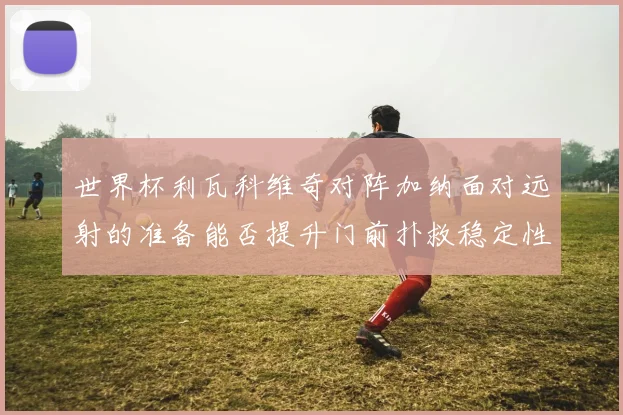世界杯利瓦科维奇对阵加纳面对远射的准备能否提升门前扑救稳定性